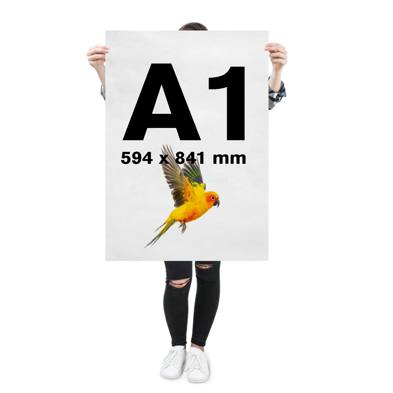 A1 Posters – PrintSave.ie