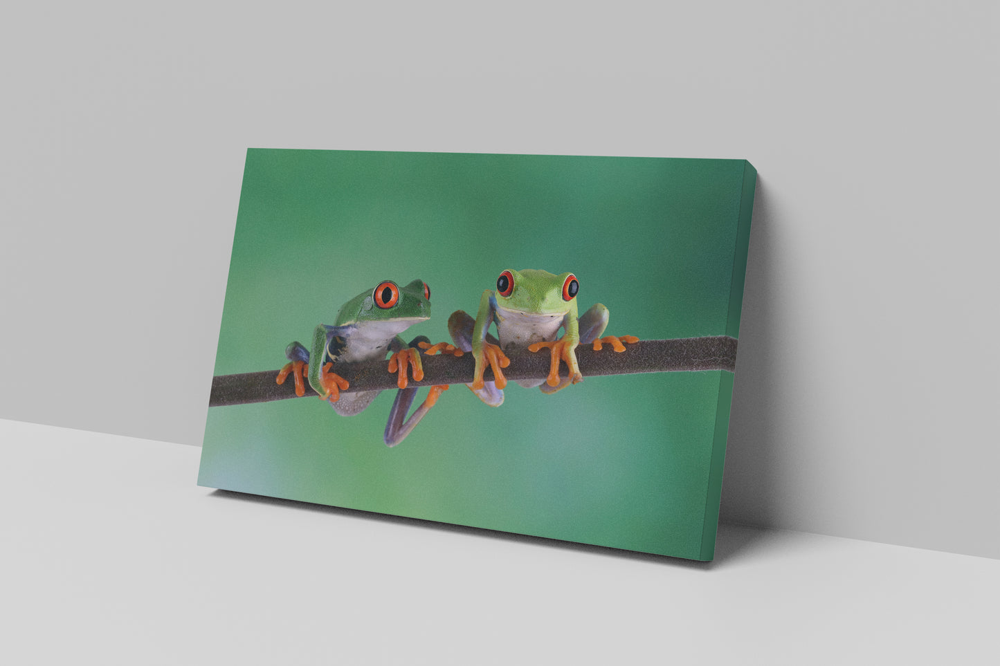 Canvas Prints