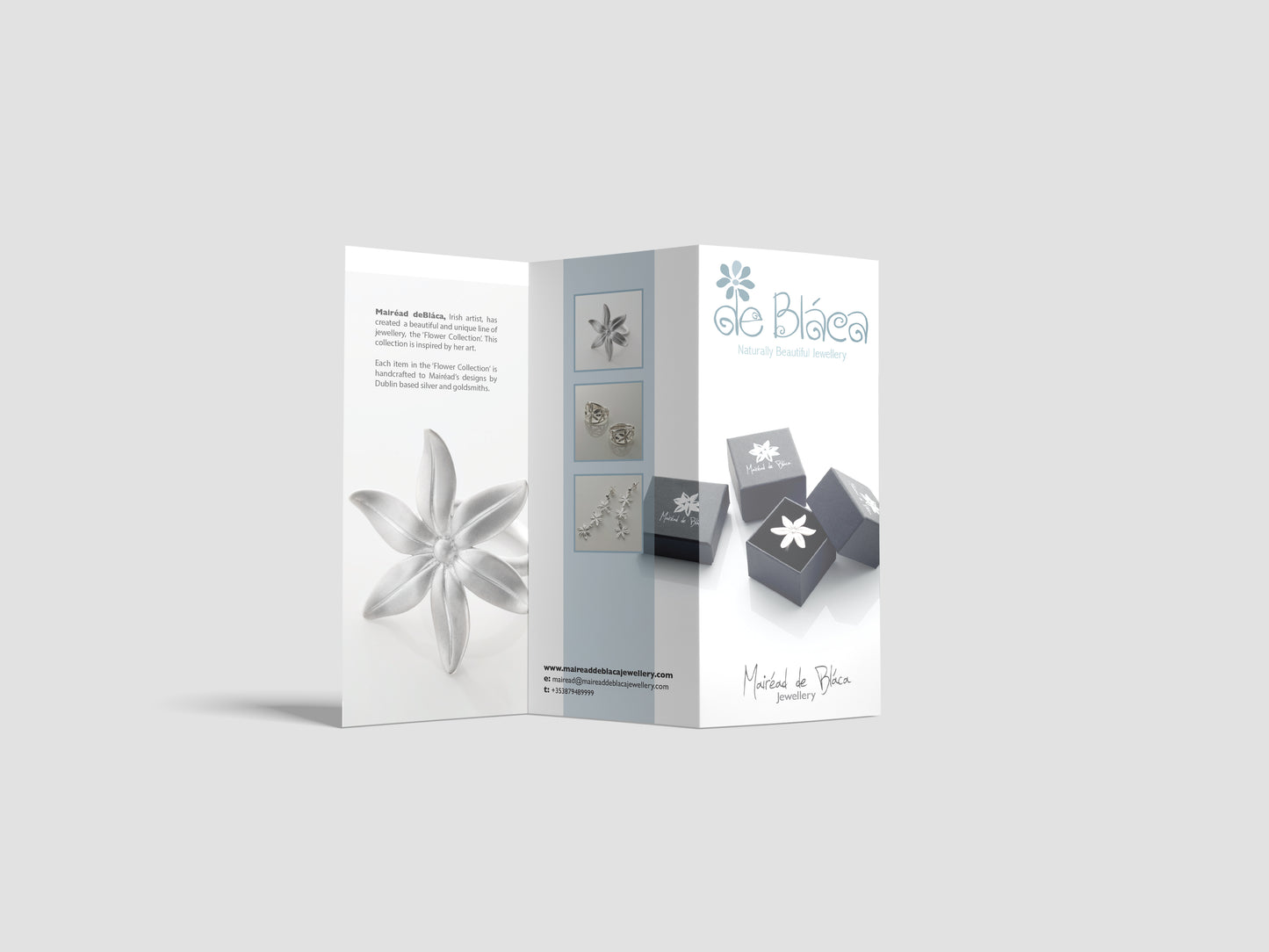 A3 Folded Brochures