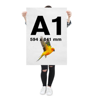 A1 Posters