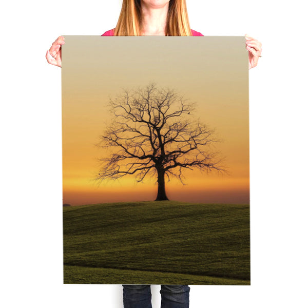 A1 Posters