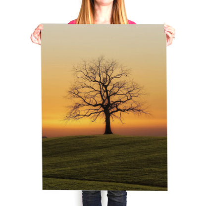 A1 Posters