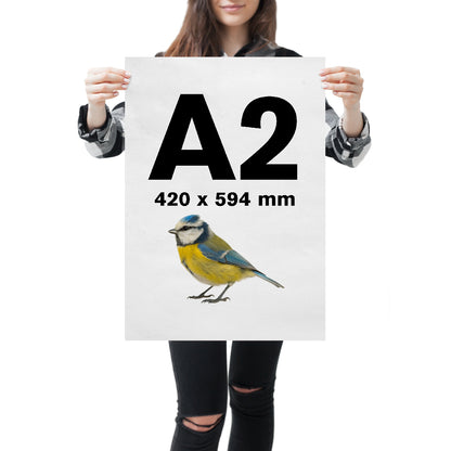 A2 Posters