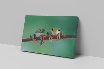 Canvas Prints