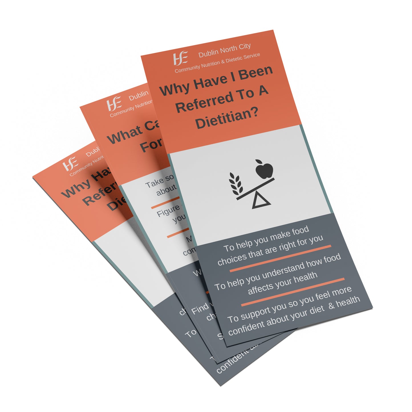DL Flyers on Uncoated Eco Paper & Card