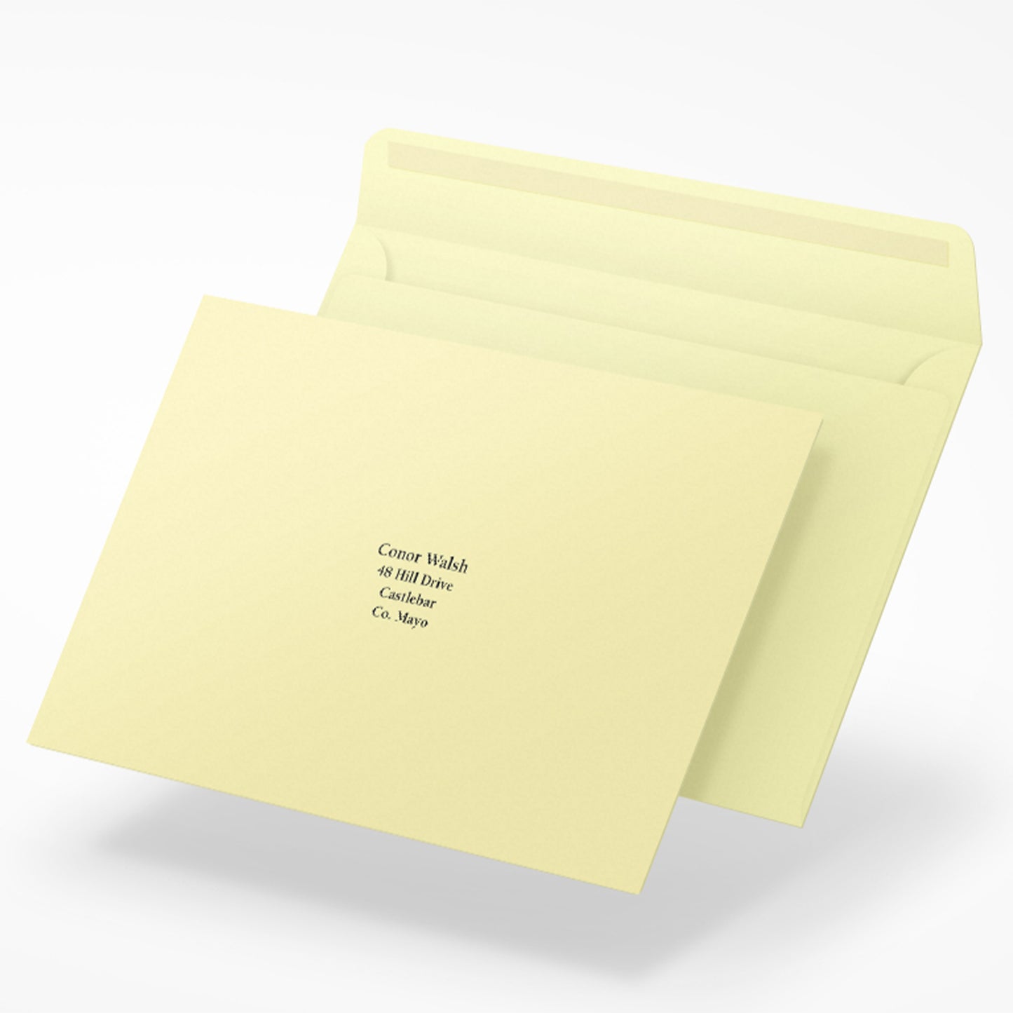 Wedding Printed Envelopes